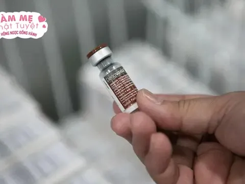 Việt Nam đã có vắc xin phòng ngừa bệnh sốt xuất huyết chưa?