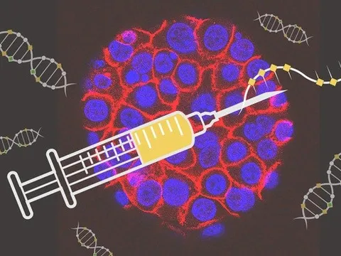 Công nghệ vaccine COVID-19 được sử dụng để điều trị ung thư