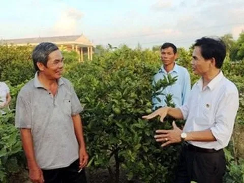 Dư luận dậy sóng vụ kỷ luật Chánh văn phòng điều phối Nông thôn mới Hà Tĩnh