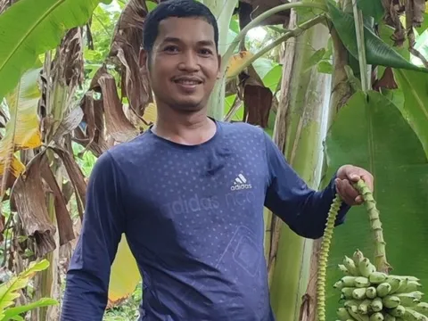 Chàng kỹ sư trẻ bỏ phố về quê làm nông với nhiều khát vọng