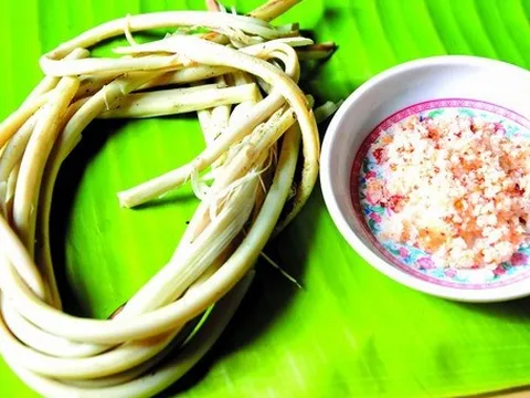 Cây dại cứu đói, chi chít gai thành đặc sản, thương lái đã đến tận nhà thu mua