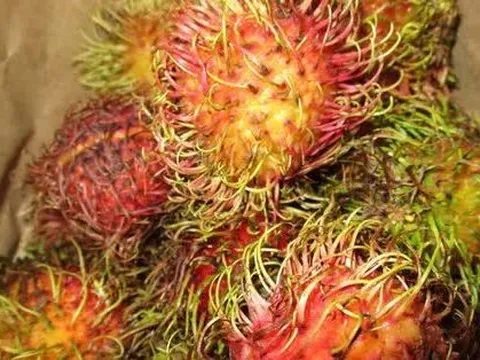 Lô hàng tương ớt, chôm chôm, thanh long của Việt Nam bị tiêu hủy ở châu Âu