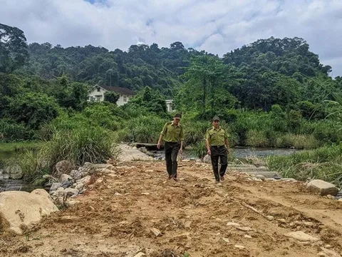 “Đặc cách” của kiểm lâm trên tuyến cao tốc đi qua Thừa Thiên-Huế