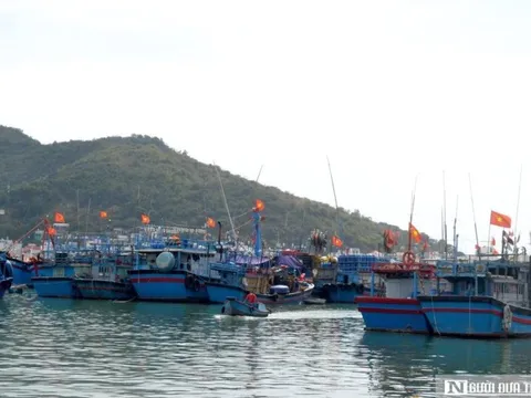 Khánh Hòa phát thông báo 19 tàu cá thuộc diện mất tích