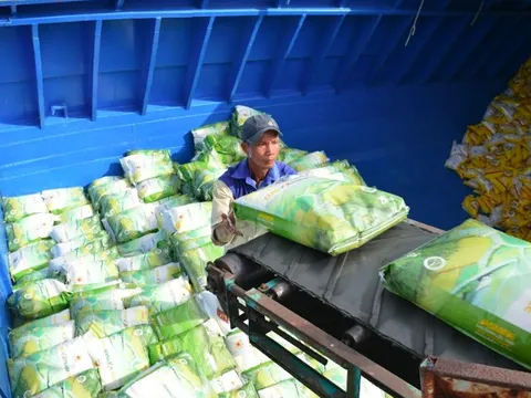 VDSC: Sản lượng gạo xuất khẩu của Việt Nam sẽ còn tăng đến cuối năm 2022, đặc biệt với DN xuất được sang châu Âu như Lộc Trời, Trung An