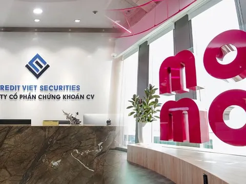 3 "sếp" của Momo sắp vào Hội đồng quản trị Chứng khoán CV?