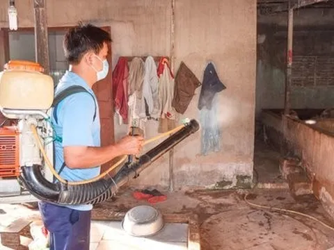 Bình Thuận ghi nhận ca tử vong do bệnh sốt xuất huyết