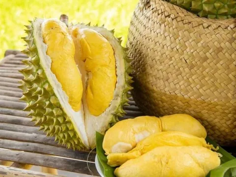 Bước tiến mới đối với xuất khẩu sầu riêng sang Trung Quốc