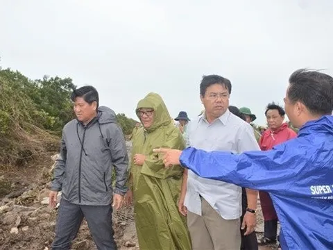 Bí thư Tỉnh ủy Cà Mau kiểm tra tình hình sạt lở tuyến đê biển Tây