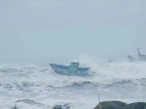 Bình Thuận: Tìm kiếm tàu cá bị mất liên lạc khi từ biển Trường Sa về Cảng Phan Thiết