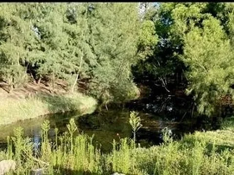 Hà Tĩnh: Trượt chân ở bờ hồ, hai bé gái đuối nước thương tâm