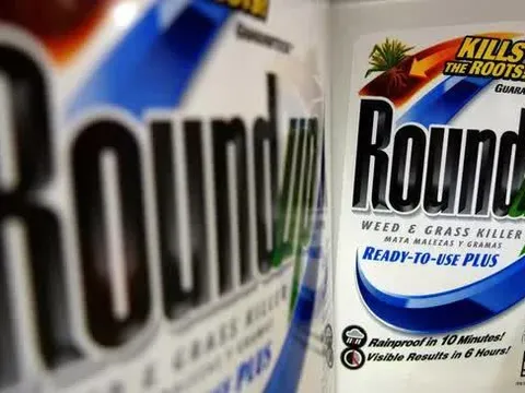 Thành phần hóa chất diệt cỏ liên quan ung thư được tìm thấy trong 80% mẫu nước tiểu ở Mỹ