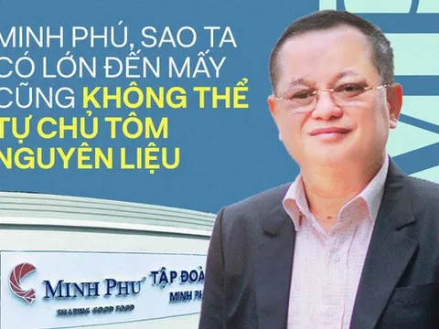 Vì sao các "vua tôm" như Minh Phú, Sao Ta dù quy mô lớn đến đâu cũng không thể tự chủ toàn bộ 100% tôm nguyên liệu?