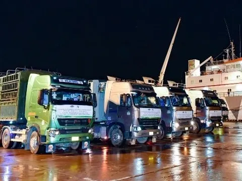 Vinamilk nhập đàn bò sữa 1000 con từ Mỹ về trang trại bò sữa Lao-Jagro tại Lào