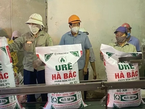 Gió đổi chiều, 4 đại dự án thua lỗ của Vinachem bỗng hồi sinh lãi nghìn tỷ, kéo lợi nhuận toàn tập đoàn lên mức kỷ lục