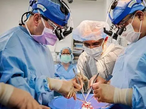 Thêm 2 người chết não được ghép tim heo thành công