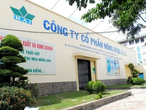 Ngân hàng tìm đối tác định giá tài sản thế chấp của một công ty thuộc FLC