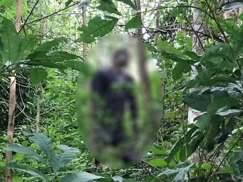 Điều tra vụ người đàn ông tử vong bất thường trong rừng