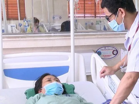 Bất ngờ đột quỵ do... ong đốt