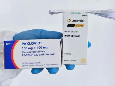 Chuyên gia Australia: Thuốc điều trị Covid-19 có thể ảnh hưởng khả năng sinh sản