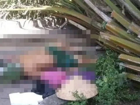 Cây trong công viên đổ giữa trưa đè người đàn ông tử vong