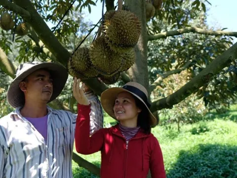 Lễ hội trái cây Khánh Sơn diễn ra 4 ngày với nhiều hoạt động thú vị