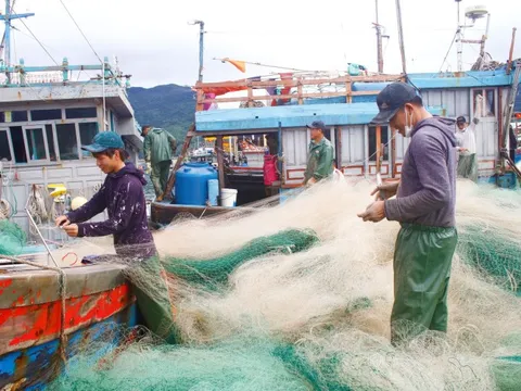 Xăng dầu hạ nhiệt, ngư dân phấn khởi vươn khơi