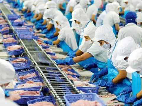 SSI Research: Tăng trưởng xuất khẩu thuỷ sản bắt đầu giảm tốc trong quý 3, lợi nhuận Vĩnh Hoàn (VHC) đã đã đỉnh trong 6 tháng đầu năm 2022