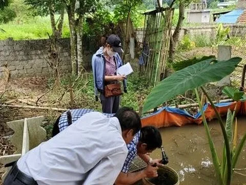 Nghệ An: Bệnh nhân mắc sốt xuất huyết tăng nhanh, bùng phát diện rộng