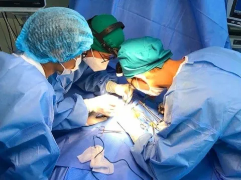 Vô tình bị ong đốt 15 vết, bé 5 tuổi phải chạy ECMO, lọc máu liên tục