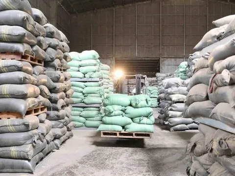 8 cán bộ Cục dự trữ Nhà nước bị bắt, Bộ Tài chính chỉ đạo khẩn