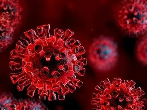 Mỹ: Vắc-xin kháng Omicron, Omnivax thử nghiệm thành công