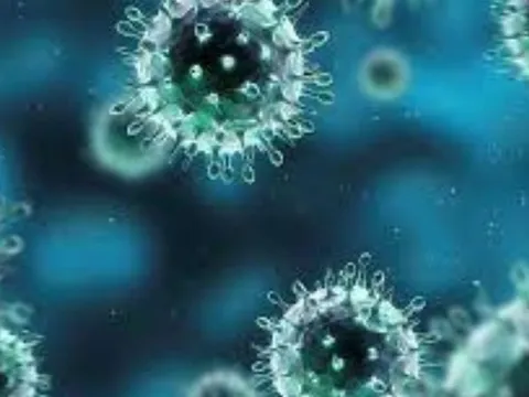 Người bị cúm A nên ăn gì để nhanh khỏe?