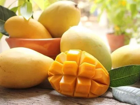 6 lợi ích tuyệt vời của quả xoài không phải ai cũng biết