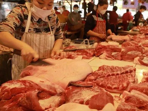 Vì sao giá thịt lợn tăng cao?