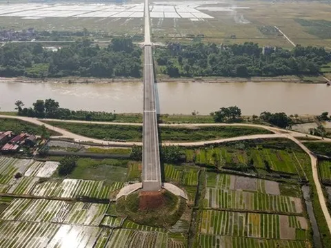 Ảnh: Người dân phơi thóc, chăn thả gia súc trên cây cầu được đầu tư cả trăm tỷ