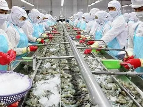 Nhiều đại gia thủy sản bị quấy nhiễu, đòi nợ, bị tung tin đồn “đã chết”