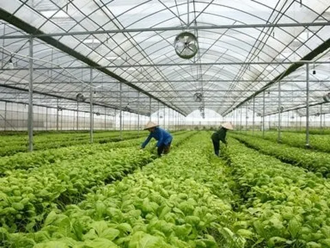 Bổ sung quy định về chính sách hỗ trợ đối với tổ chức kinh tế hợp tác