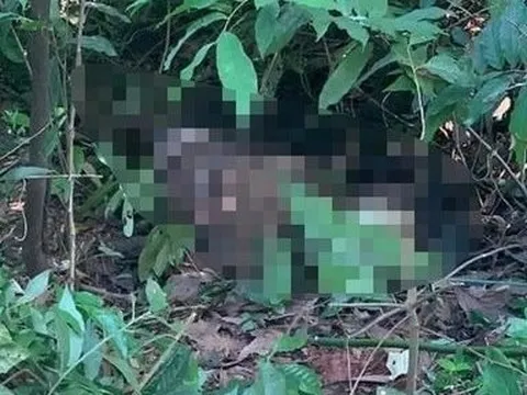 Phát hiện thi thể quấn chăn, buộc dây nghi là nam sinh mất tích