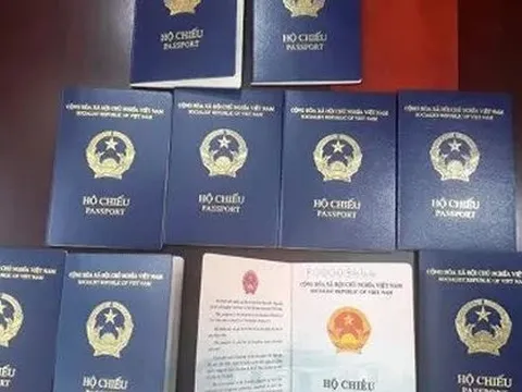 Đức ngừng cấp thị thực hộ chiếu phổ thông Việt Nam mẫu mới xanh tím than