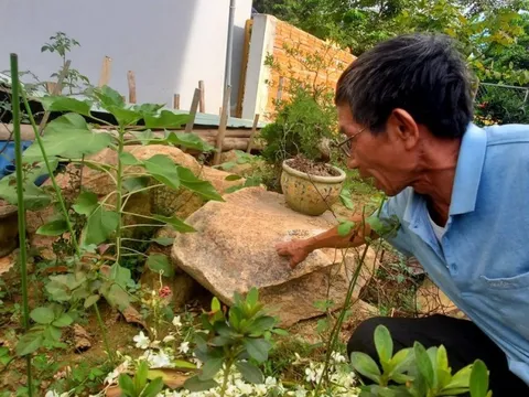 Khu tái định cư khiến nhiều đơn vị "dính" phạt ở Huế giờ ra sao?