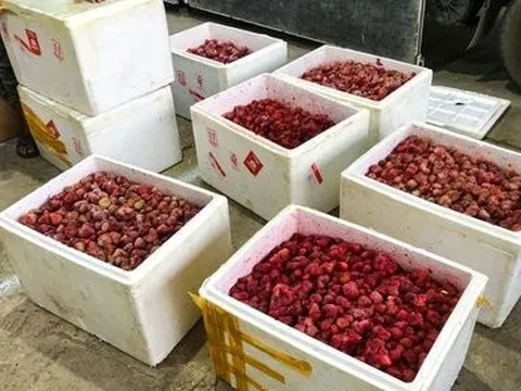 Lâm Đồng: Tạm giữ 310kg dâu tây không rõ nguồn gốc