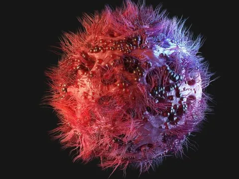 Người thứ tư trên thế giới khỏi HIV