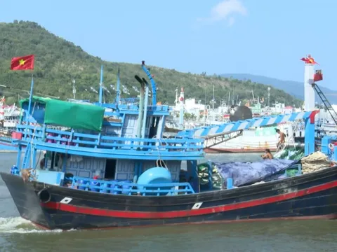 Video: Giá xăng dầu giảm, ngư dân Khánh Hòa phấn khởi vươn khơi trở lại