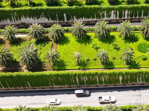 Cận cảnh bức tường xanh hiếm có giữa hầm chui ở Hà Nội giúp người dân "giải nhiệt" ngày nắng nóng