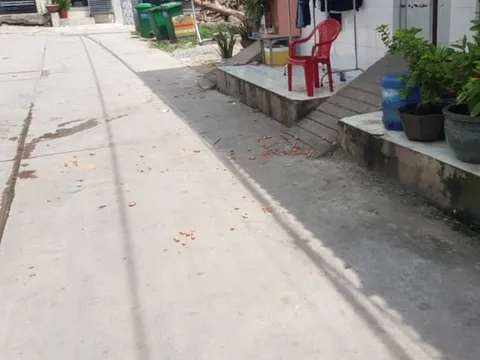 Tp.HCM: Điều tra vụ nam thanh niên bị bạn đâm tử vong trong phòng trọ