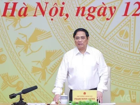 Tiếp tục cơ cấu lại có trọng tâm, trọng điểm, nâng cao hiệu quả hoạt động của DNNN