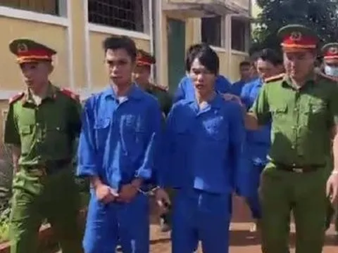 Triệt phá nhóm đối tượng thuê xe ô tô đi bắt trộm hơn 300kg mèo