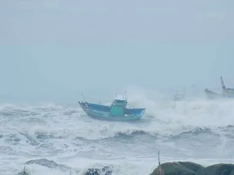 Bình Thuận: Tìm nhân thân ngư dân tử vong khi đánh bắt trên biển