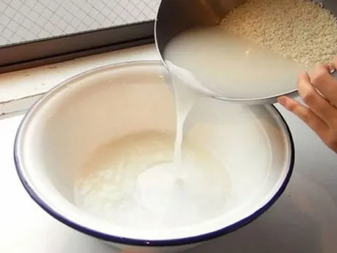 Những lợi ích bất ngờ từ nước vo gạo